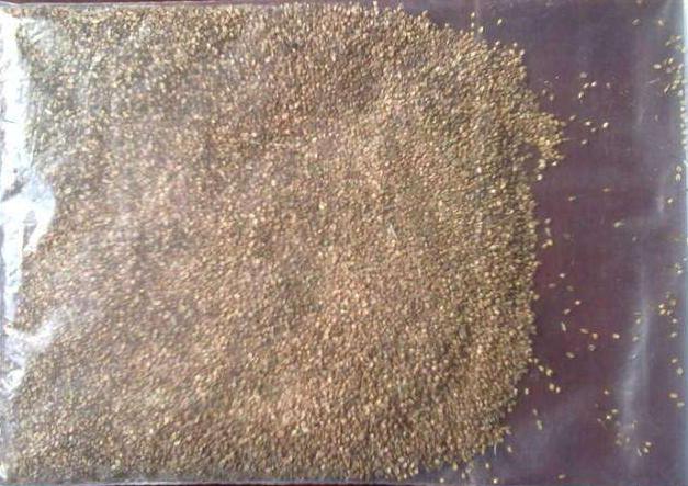 長沙東日園林工程有限公司,長沙園林綠化工程,長沙綠化養(yǎng)護(hù)管理