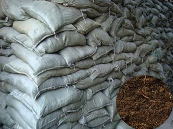 長沙東日園林工程有限公司,長沙園林綠化工程,長沙綠化養(yǎng)護管理 長沙東日園林工程有限公司,長沙園林綠化工程,長沙綠化養(yǎng)護管理